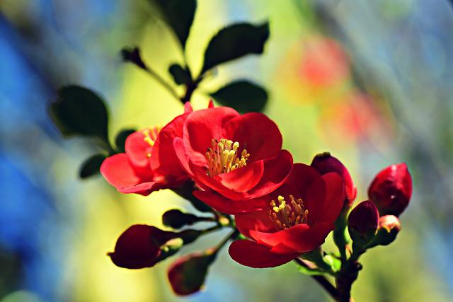 Bliv klogere på rosacea. 6 interessante fakta du bør kende