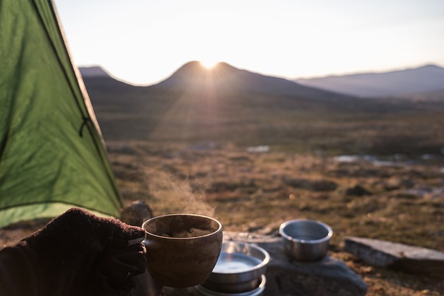 Den komplette guide til Trangia køkkengrejsystemet og de bedste muligheder for campingkomfur