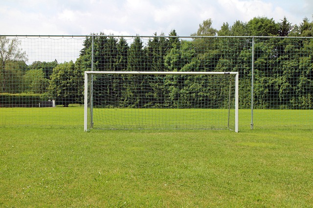Den perfekte fodboldmålsstørrelse: Er der en 'one-size-fits-all' løsning?